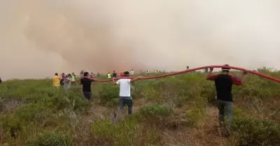 incendios forestales en Amazonas