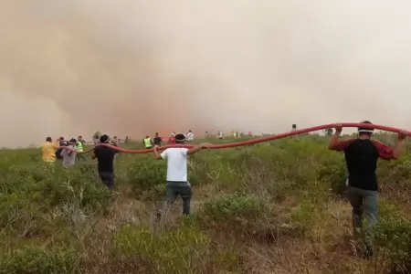 incendios forestales en Amazonas