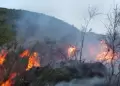 Defensora del Pueblo insta al Ejecutivo a declarar estado de emergencia las zonas afectadas por incendios forestales