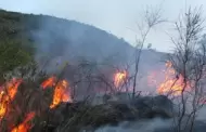 Defensora del Pueblo insta al Ejecutivo a declarar estado de emergencia las zonas afectadas por incendios forestales