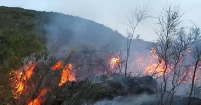 Defensora del Pueblo pide declarar estado de emergencia en zonas afectadas por