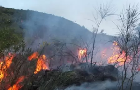 Defensora del Pueblo pide declarar estado de emergencia en zonas afectadas por