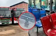 VES: De terror! Extorsionadores disparan contra cochera de empresa de buses Santa Catalina