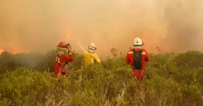 Incendios forestales en Luya.