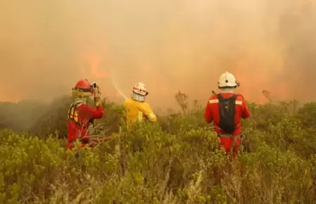 Incendios forestales.