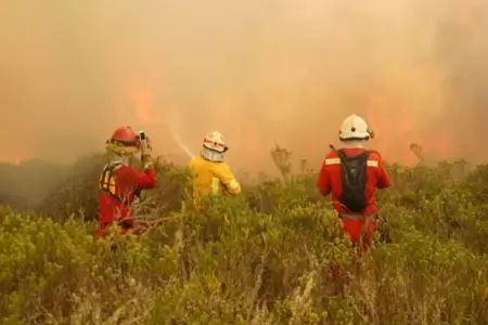 Incendios forestales.