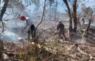 Lambayeque: Ejrcito y PNP intentan controlar incendio forestal en Incahuasi