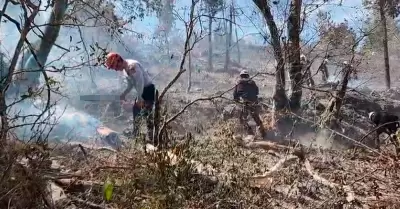 PNP y Ejrcito intentan apagar incendio en Incahuasi.