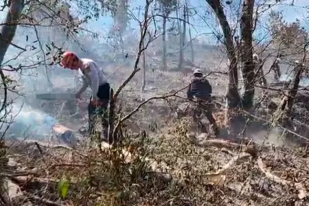 PNP y Ejrcito intentan apagar incendio en Incahuasi.