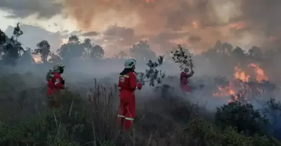 Per no est preparado para afrontar incendios forestales?