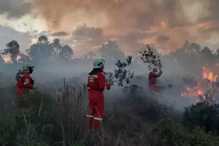 Per no est preparado para afrontar incendios forestales?