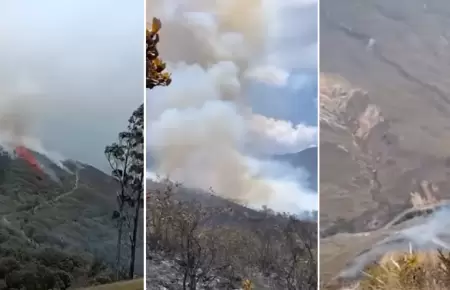 Piden ayuda urgente ante posible incendio forestal en la catarata de Gocta .