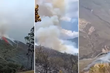 Piden ayuda urgente ante posible incendio forestal en la catarata de Gocta .