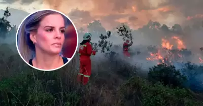 Alejandra Baigorria y su reaccin por incendios forestales.