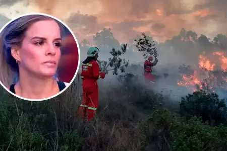 Alejandra Baigorria y su reaccin por incendios forestales.