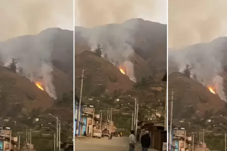 Incendio forestal afecta a Lima.