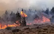 Incendios forestales: Asciende a 15 el nmero de fallecidos por los siniestros al interior del pas