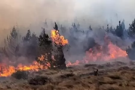 Fallecidos por incendios forestales asciende a 15.