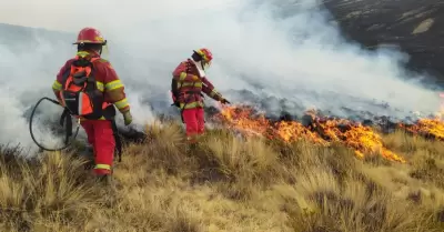 Incendios forestales en Per