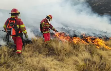 Incendios forestales en Per