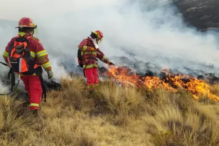 Incendios forestales en Per