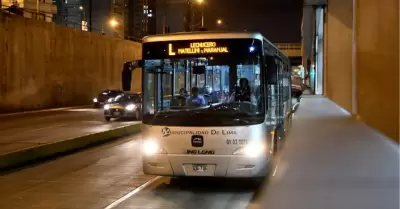 Lechucero del Metropolitano