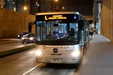 Lechucero del Metropolitano