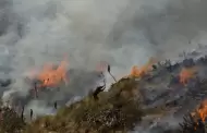 �Alerta roja! Emiten alerta de condiciones capaces de generar incendios forestales en la sierra del Per�