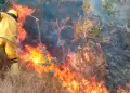 Gobierno oficializa estado de emergencia en San Martn, Ucayali y Amazonas por incendios forestales