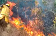 COER ncash solicita al Ejecutivo declarar emergencia por incendios forestales: "Rebas nuestra capacidad"