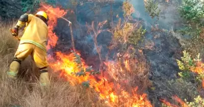 Piden declarar en emergencia ncahs por incendios forestales.