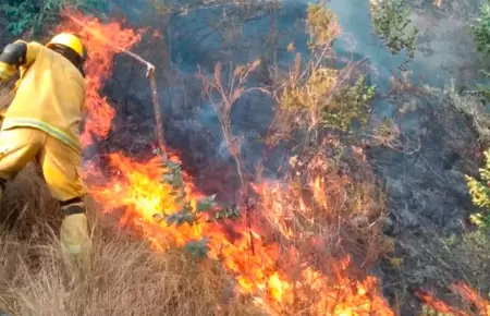 Gobierno declara estado de emergencia en San Martn, Ucayali y Amazonas.