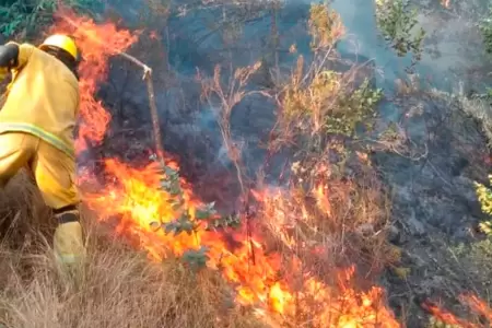 Piden declarar en emergencia ncahs por incendios forestales.