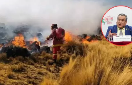 Gustavo Adrianzn sobre incendios forestales.