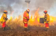 "Estamos desprotegidos": Bomberos atienden incendios forestales sin trajes especiales para la emergencia ambiental