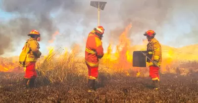 Bomberos piden presupuesto para combatir incendios forestales.