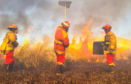 Bomberos piden presupuesto para combatir incendios forestales.