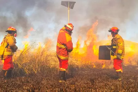 Bomberos piden presupuesto para combatir incendios forestales.