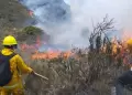 La primavera acabar con los incendios forestales en la selva? Senamhi responde sobre el clima en la regin