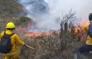 La primavera acabar con los incendios forestales en la selva? Senamhi responde sobre el clima en la regin