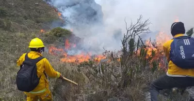 Llegada de primavera podra apagar los incendios forestales.