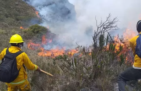 Llegada de primavera podra apagar los incendios forestales.