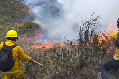 Llegada de primavera podra apagar los incendios forestales.