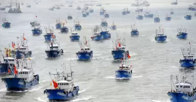 Barcos chinos estaran pescando en mar peruano con consentimiento del Gobierno