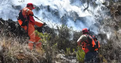 Ministro de Defensa sobre declaratoria de emergencia por incendios