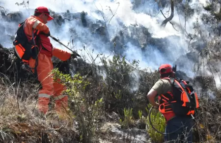 Ministro de Defensa sobre declaratoria de emergencia por incendios