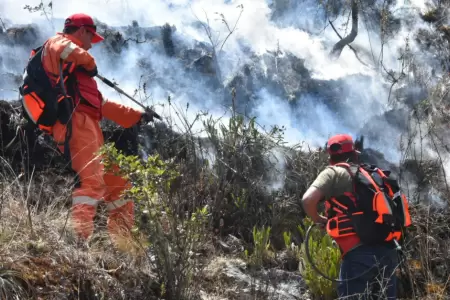 Ministro de Defensa sobre declaratoria de emergencia por incendios