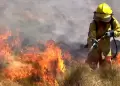 Indeci reporta 46 incendios forestales activos alrededor del Per: Asciende a 18 cifra de fallecidos