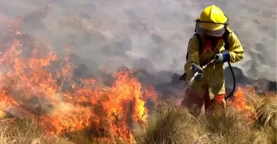 Indeci reporta 46 incendios forestales activos en el Per.