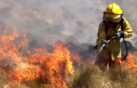 Indeci reporta 46 incendios forestales activos en el Per.